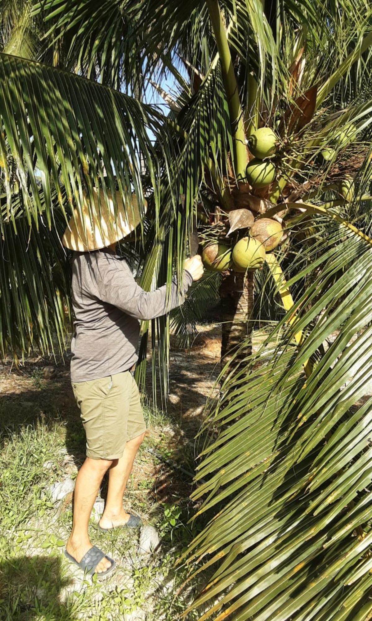 Bonnie Homestay Mui Ne Phan Thiet Exteriör bild